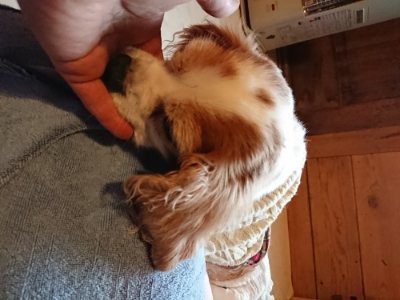 f:id:roukenhome-ann:20181230181825j:plain