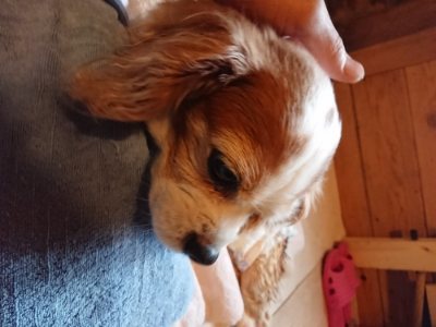 f:id:roukenhome-ann:20181230181829j:plain