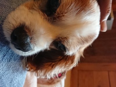 f:id:roukenhome-ann:20181230181838j:plain