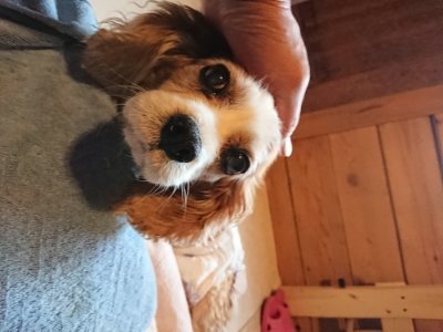 f:id:roukenhome-ann:20181230181844j:plain