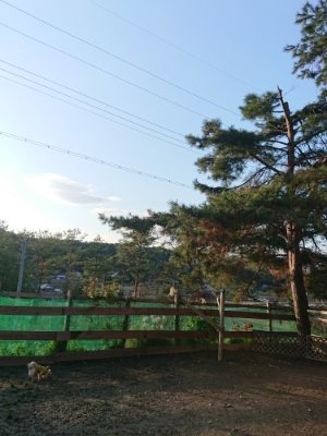 f:id:roukenhome-ann:20190102053012j:plain