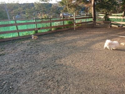 f:id:roukenhome-ann:20190102053016j:plain