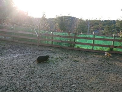 f:id:roukenhome-ann:20190102053021j:plain