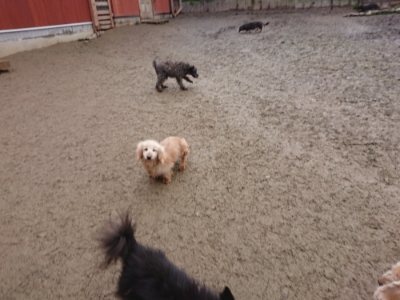 f:id:roukenhome-ann:20190102053243j:plain