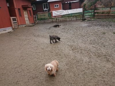 f:id:roukenhome-ann:20190102053248j:plain