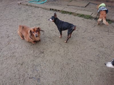 f:id:roukenhome-ann:20190102053739j:plain
