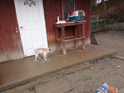 f:id:roukenhome-ann:20190102053900j:plain