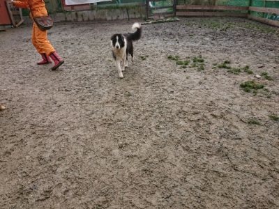f:id:roukenhome-ann:20190102054019j:plain