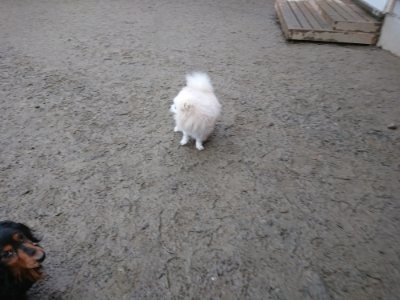 f:id:roukenhome-ann:20190102071328j:plain