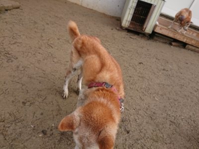 f:id:roukenhome-ann:20190102071341j:plain