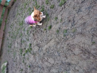 f:id:roukenhome-ann:20190102071435j:plain
