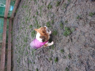 f:id:roukenhome-ann:20190102071535j:plain