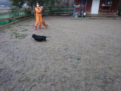 f:id:roukenhome-ann:20190102071606j:plain