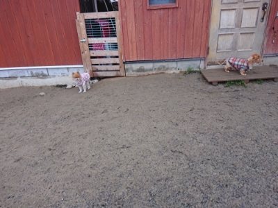 f:id:roukenhome-ann:20190102071836j:plain