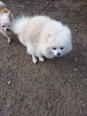 f:id:roukenhome-ann:20190103053328j:plain