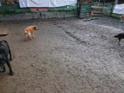 f:id:roukenhome-ann:20190103053600j:plain