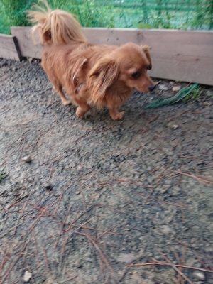 f:id:roukenhome-ann:20190103053739j:plain