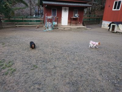 f:id:roukenhome-ann:20190103064824j:plain