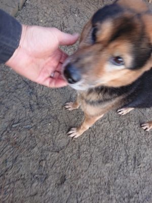 f:id:roukenhome-ann:20190103065012j:plain