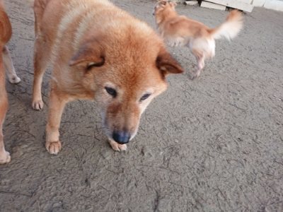 f:id:roukenhome-ann:20190103065157j:plain