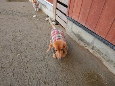 f:id:roukenhome-ann:20190103071216j:plain