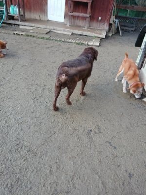 f:id:roukenhome-ann:20190103071229j:plain