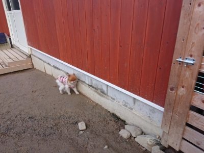 f:id:roukenhome-ann:20190103071301j:plain