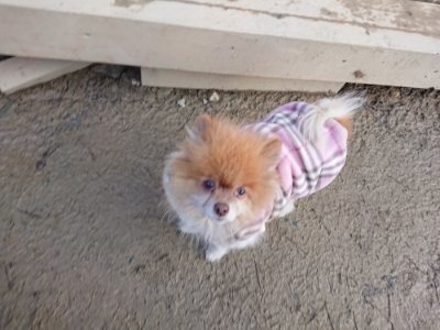f:id:roukenhome-ann:20190103071319j:plain