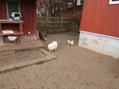f:id:roukenhome-ann:20190103131527j:plain