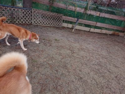 f:id:roukenhome-ann:20190103131620j:plain
