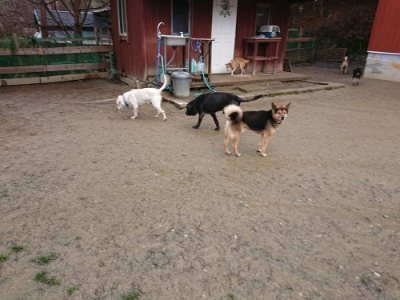 f:id:roukenhome-ann:20190103131810j:plain