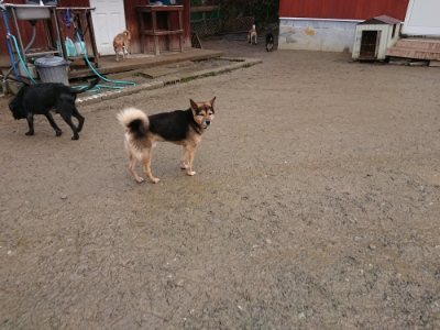 f:id:roukenhome-ann:20190103131842j:plain