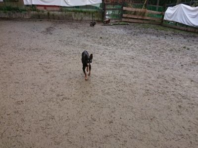 f:id:roukenhome-ann:20190103133927j:plain