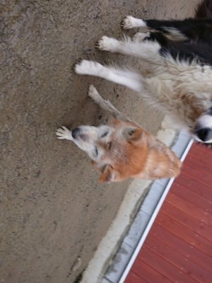 f:id:roukenhome-ann:20190103165425j:plain