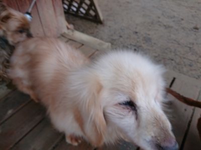 f:id:roukenhome-ann:20190103165438j:plain