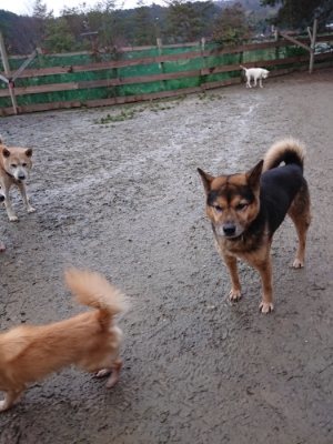 f:id:roukenhome-ann:20190103165454j:plain