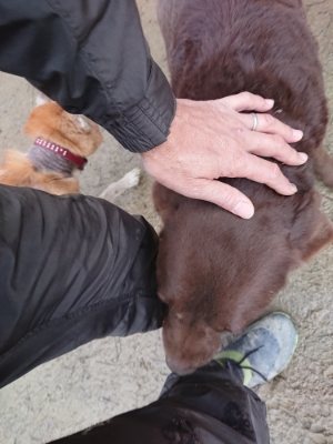 f:id:roukenhome-ann:20190103165615j:plain