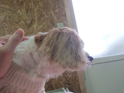 f:id:roukenhome-ann:20190103170323j:plain