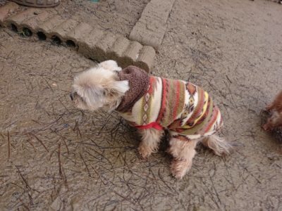 f:id:roukenhome-ann:20190103170339j:plain