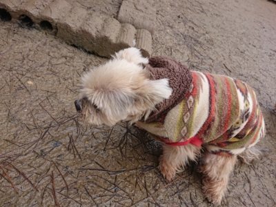 f:id:roukenhome-ann:20190103170345j:plain