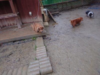 f:id:roukenhome-ann:20190103173930j:plain