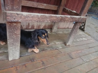 f:id:roukenhome-ann:20190103174056j:plain