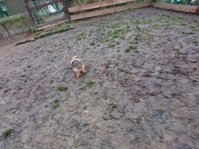 f:id:roukenhome-ann:20190103181721j:plain