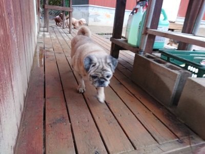 f:id:roukenhome-ann:20190103181956j:plain
