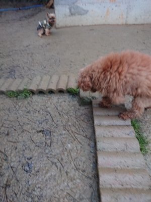 f:id:roukenhome-ann:20190103182738j:plain