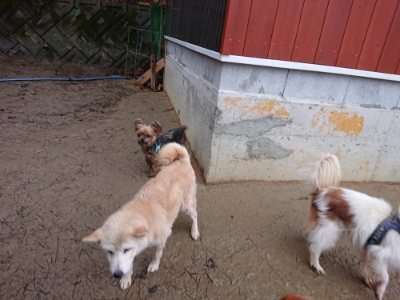f:id:roukenhome-ann:20190103182752j:plain