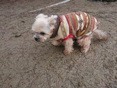 f:id:roukenhome-ann:20190105073310j:plain