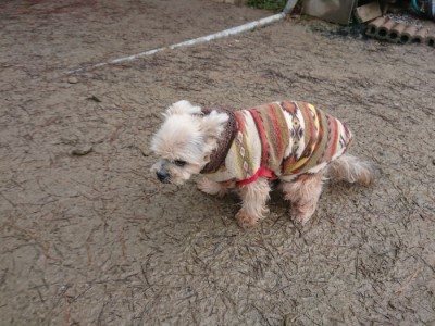 f:id:roukenhome-ann:20190105073343j:plain