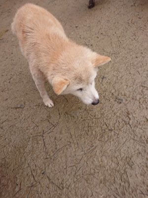 f:id:roukenhome-ann:20190105073353j:plain