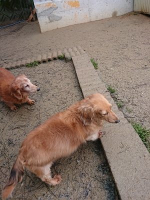 f:id:roukenhome-ann:20190105073439j:plain